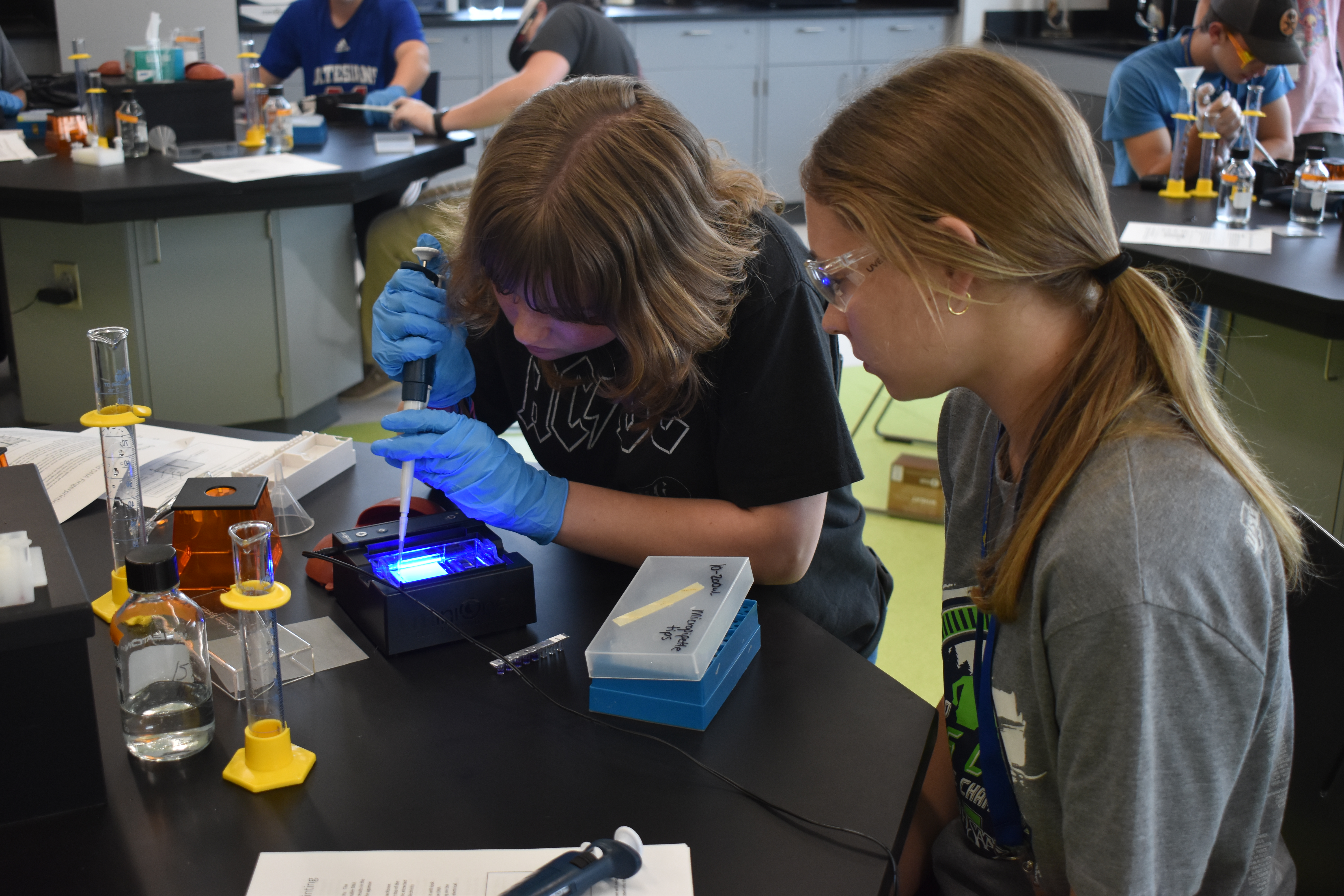 2 students create DNA fingerprinting in a College of Science, Engineering and Mathematics. 